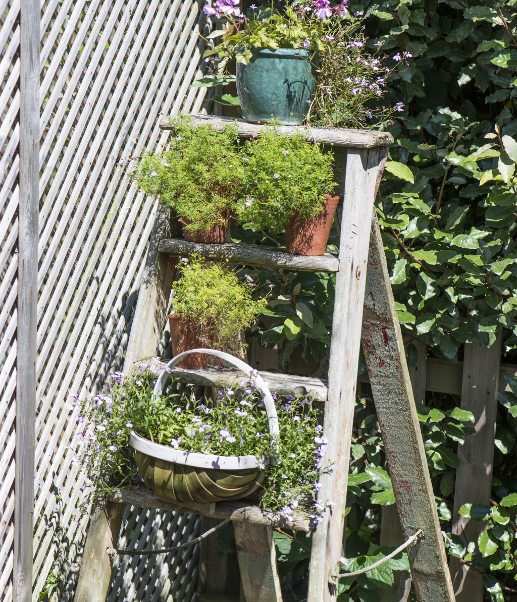 Scara din lemn care tine plante in ghiveci in gradina