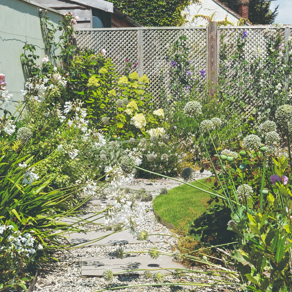 plantare luxurianta de fiecare parte a cararii facute din terase si pietricele in gradina